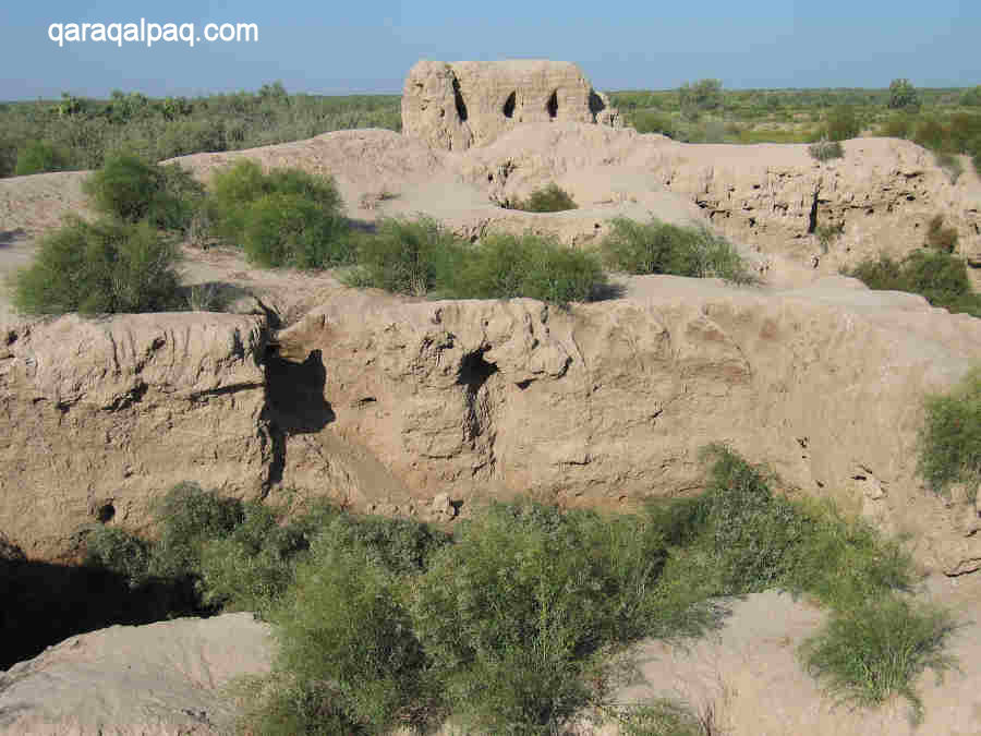The remains of Qoy Qirilg'an Qala