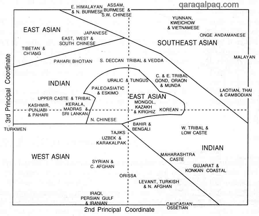 Physical Anthropology of Asia