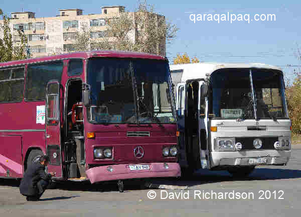 Tashkent buses